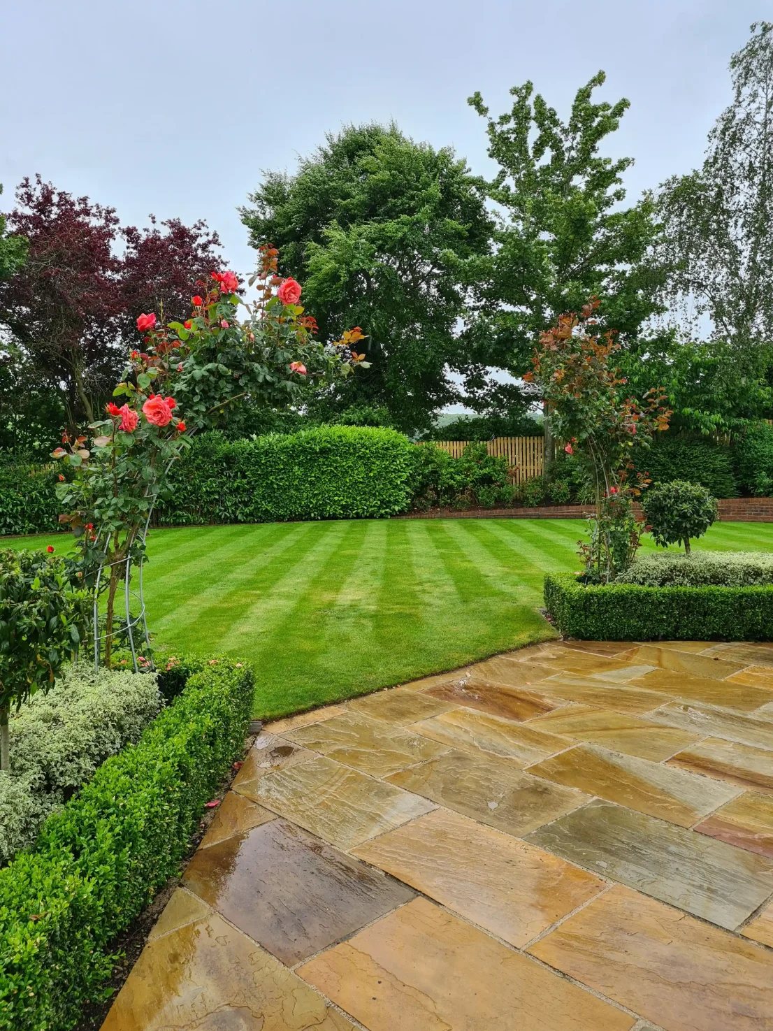 Garden Design Plan